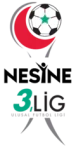 3. Lig - Group 3 logo
