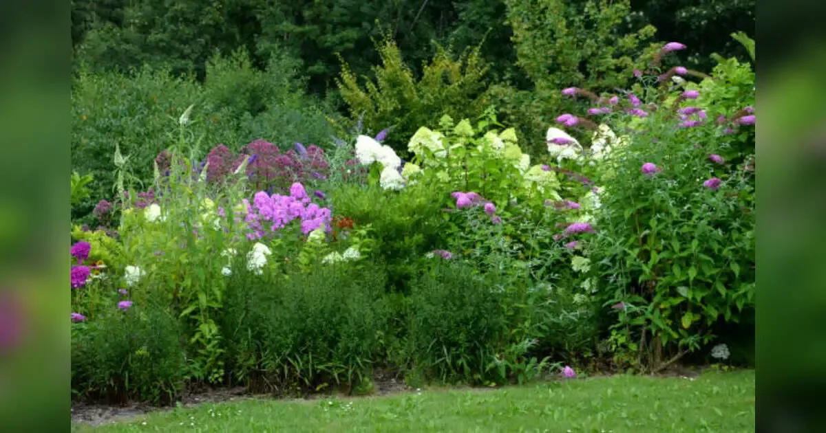 Little Known Tips And Tricks To Make Your Garden More Eco Friendly