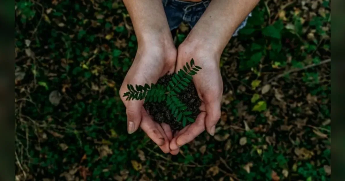 Beyond Growth: Rethinking Economics For A Sustainable Future.