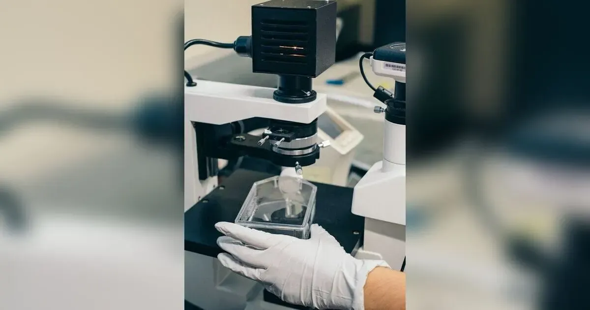 The New Era Of Innovation: How Science And Technology Are Reshaping Humanity.