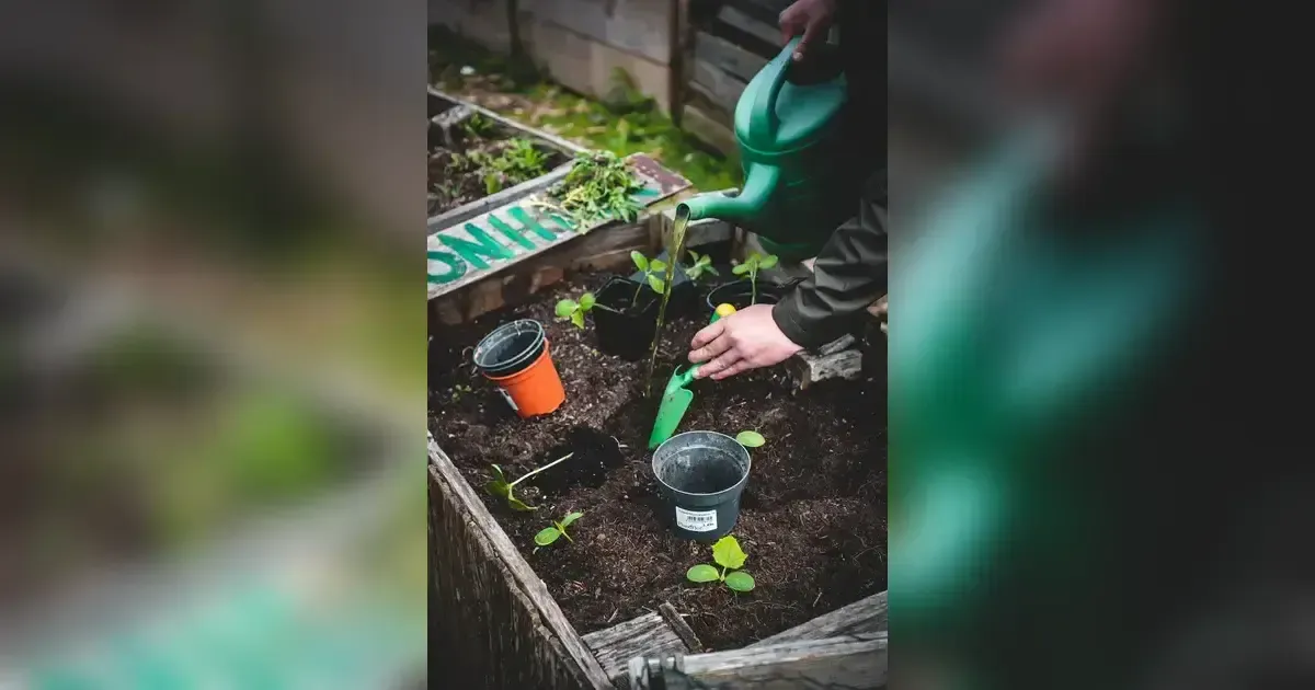 Preparing For The Growing Season