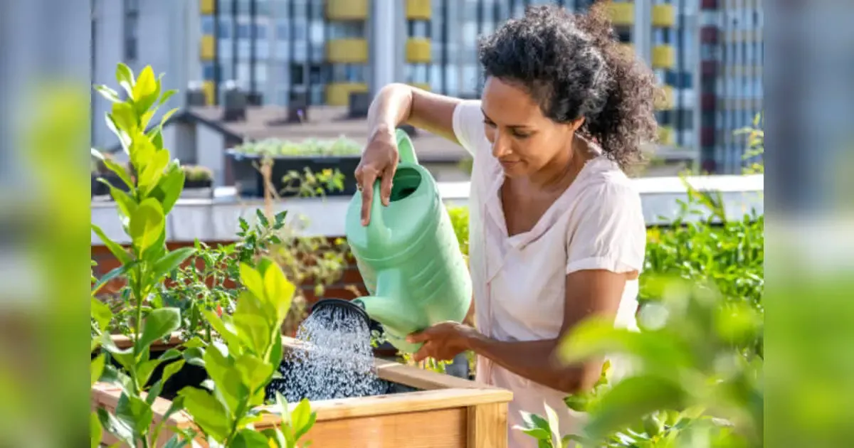 Container Garden Trends: How To Wow With Potted Plants