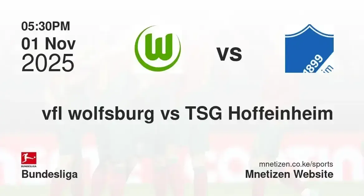 vfl wolfsburg vs TSG Hoffeinheim