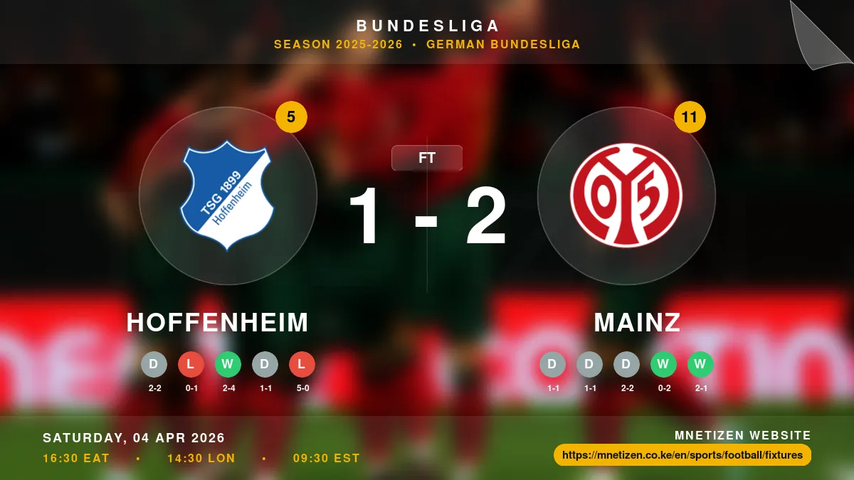 Hoffenheim vs Mainz Result
