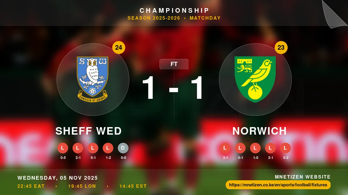 Sheff Wed vs Norwich Result
