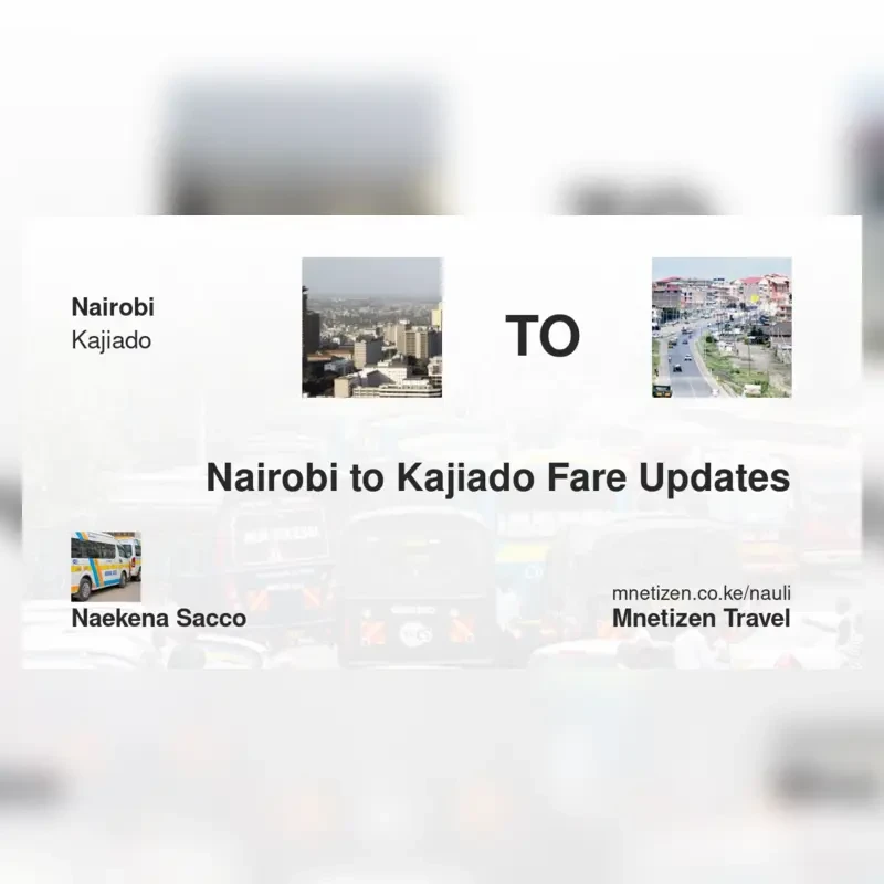 Image of nairobi-to-kajiado-naekena-sacco transport parcel