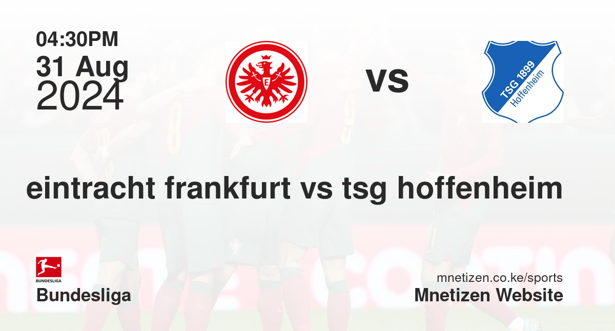 eintracht frankfurt vs tsg hoffenheim
