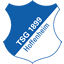 TSG Hoffenheim Logo