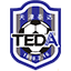 Tianjin Teda League Logo