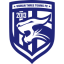Wuhan Three Towns League Logo