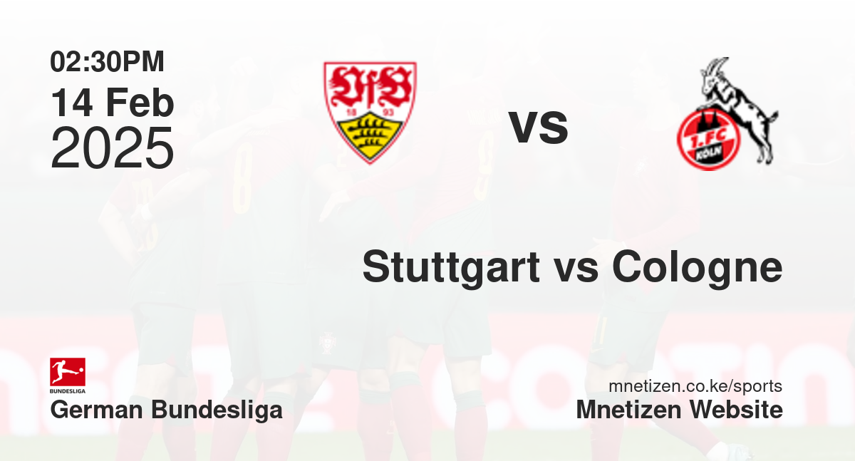 Stuttgart vs Cologne | 14 Feb 2025 Match