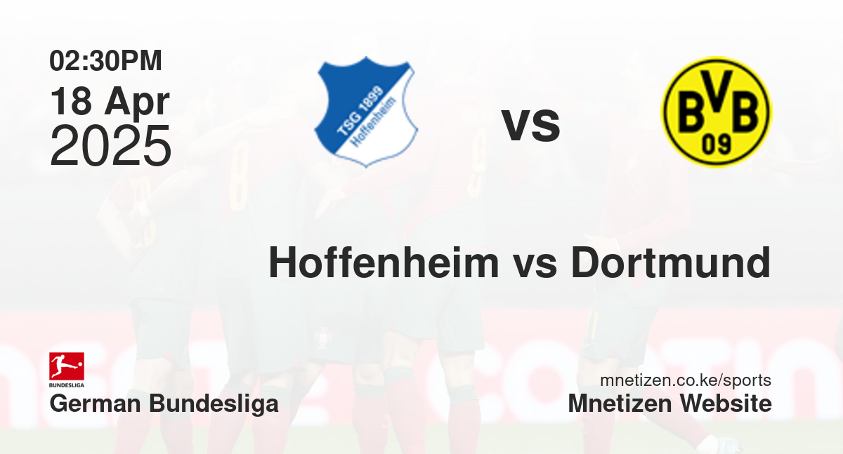 TSG Hoffenheim vs Borussia Dortmund | 18 Apr 2025 Match