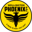 Wellington Phoenix League Logo