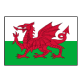 Wales U21