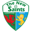 The New Saints FC