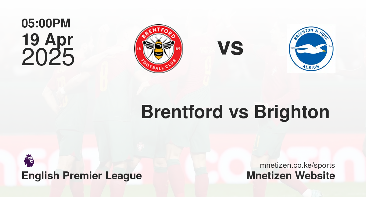 Brentford vs Brighton 