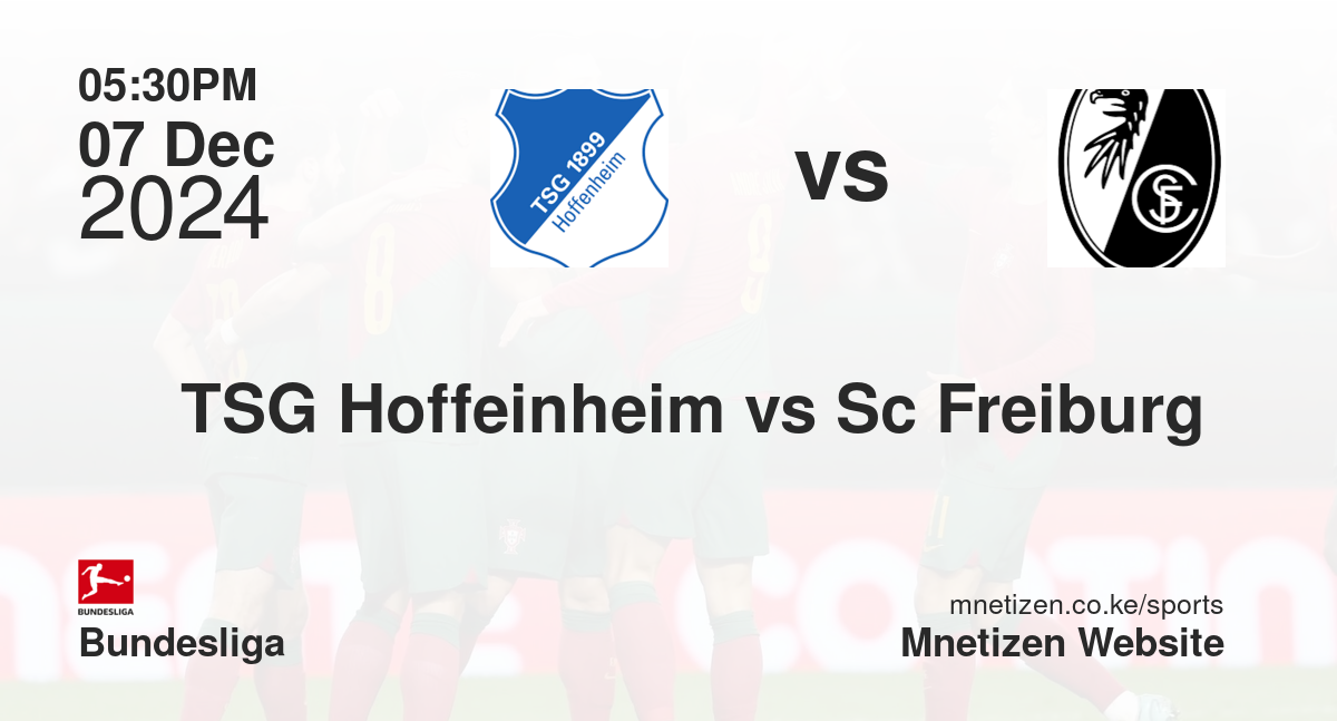 TSG Hoffeinheim vs Sc Freiburg 