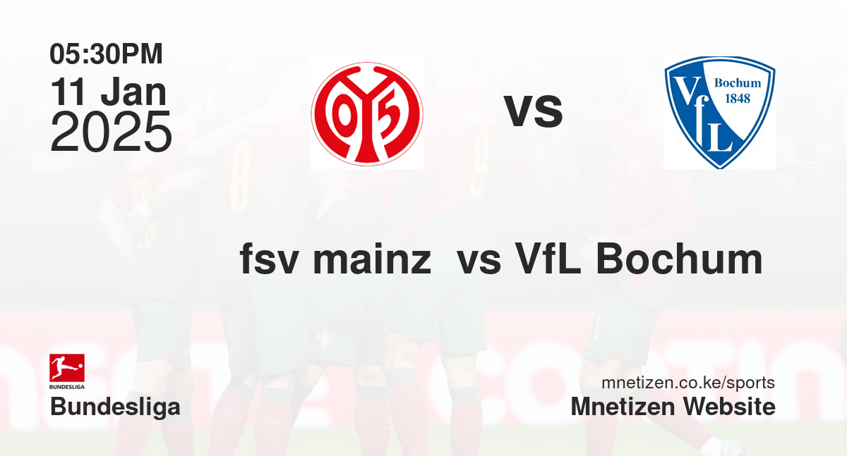 fsv mainz  vs VfL Bochum 