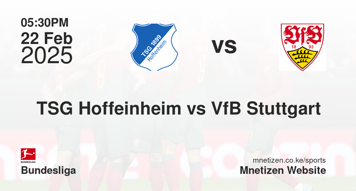 TSG Hoffeinheim vs VfB Stuttgart 