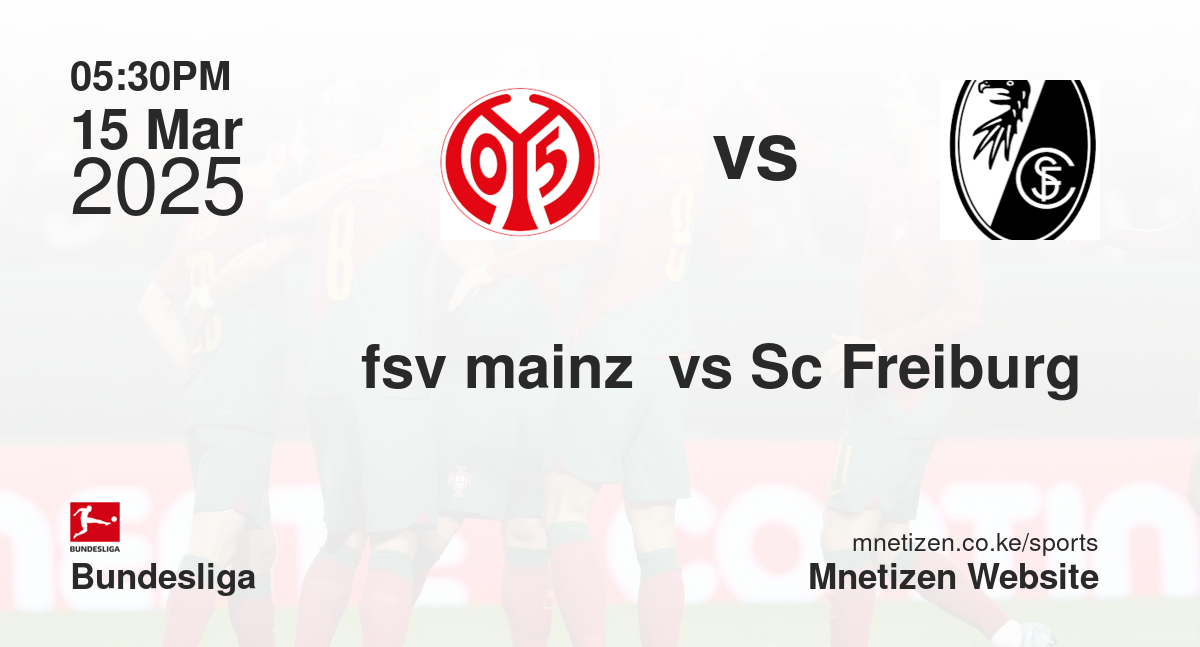 fsv mainz  vs Sc Freiburg 