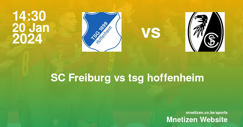 SC Freiburg vs tsg hoffenheim 20/01/2024 14:30