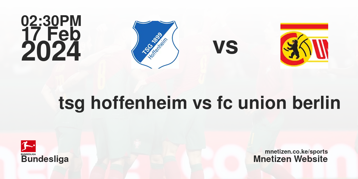tsg hoffenheim vs fc union berlin 17/02/2024 14:30