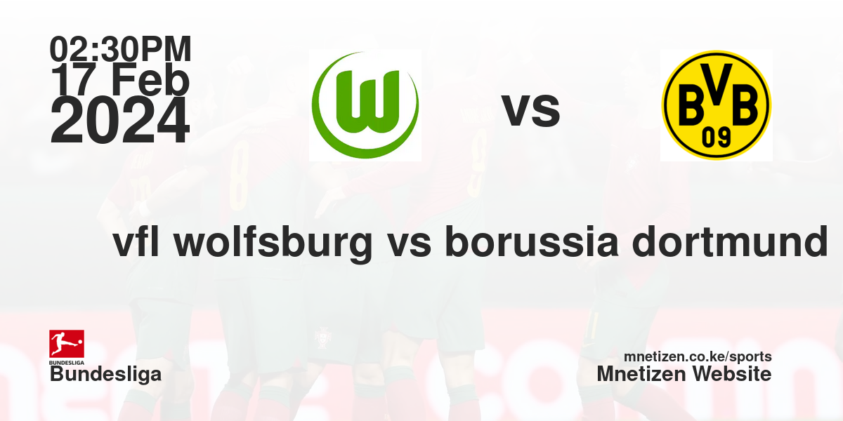 vfl wolfsburg vs borussia dortmund 17/02/2024 14:30