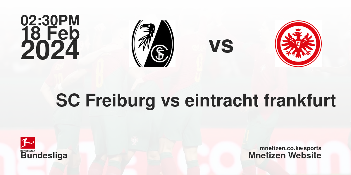SC Freiburg vs eintracht frankfurt 18/02/2024 14:30