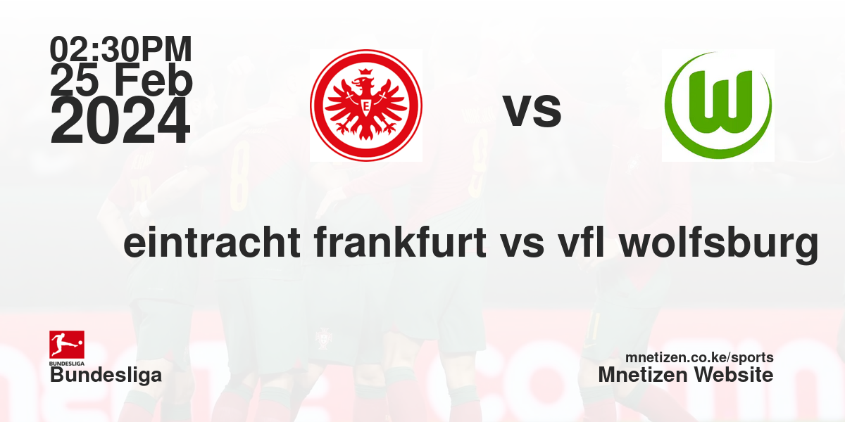 eintracht frankfurt vs vfl wolfsburg 25/02/2024 14:30