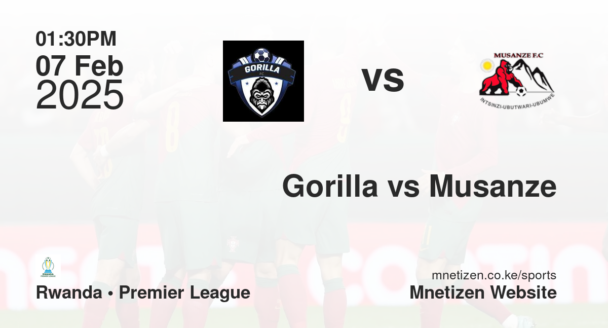 Gorilla vs Musanze