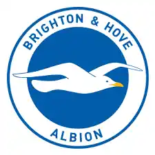 Brighton and Hove Albion Logo