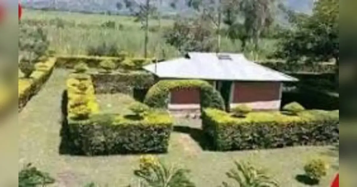 Conquering The Foes: A Kenyan Guide To Managing Common Crop Diseases In Your Home Garden