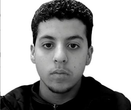 David Khaldi  Abdeldjalil's profile picture