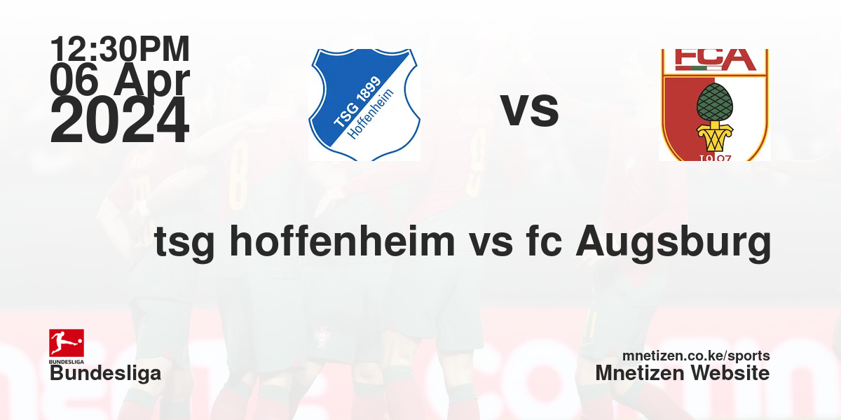 tsg hoffenheim vs fc Augsburg  06/04/2024 12:30