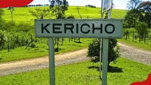 Kericho