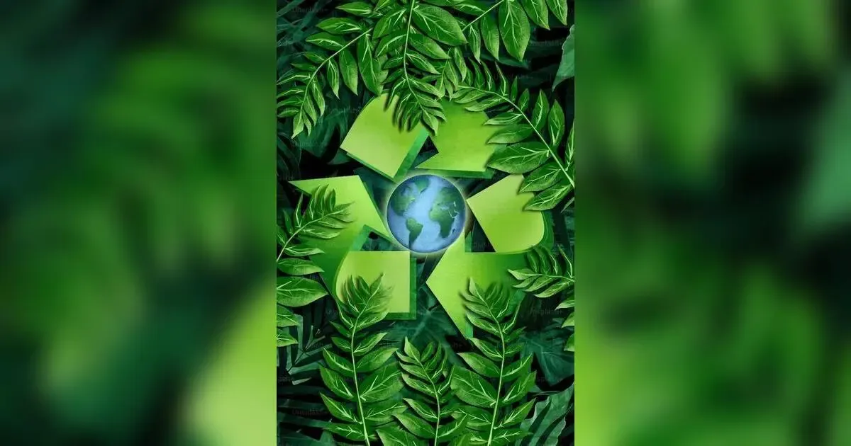 Global Environmental Policy: Navigating The Politics Of Climate Action And Sustainability