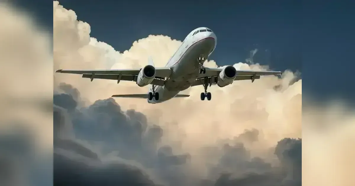 Air Peace's Fleet Challenges: Navigating Disruptions And Strategic Adaptation