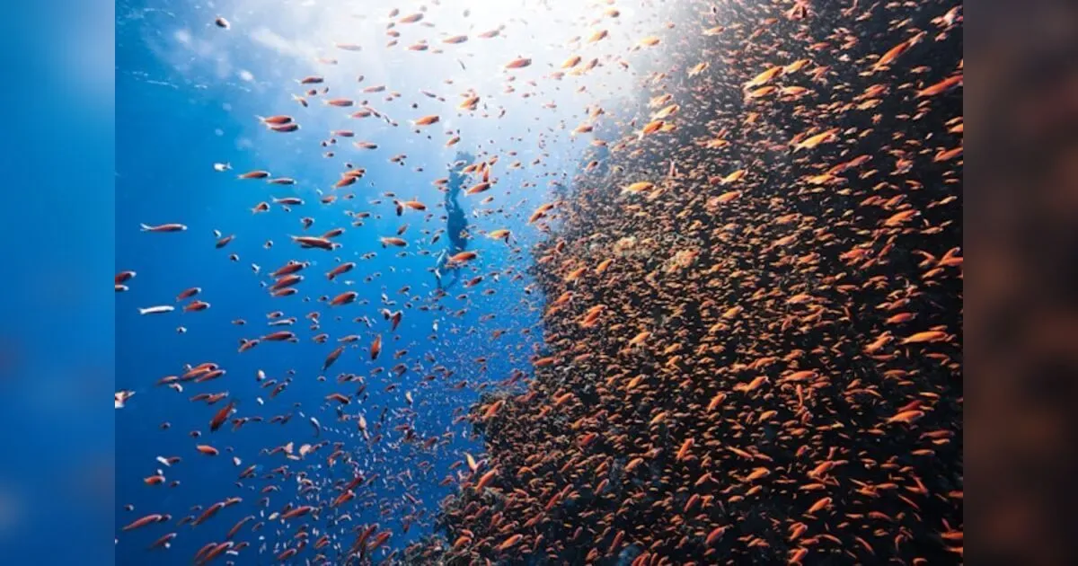 Redefining Boundaries: The Intersection Of Scientific Discovery And Technological Advancement.