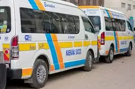 Naekena Sacco