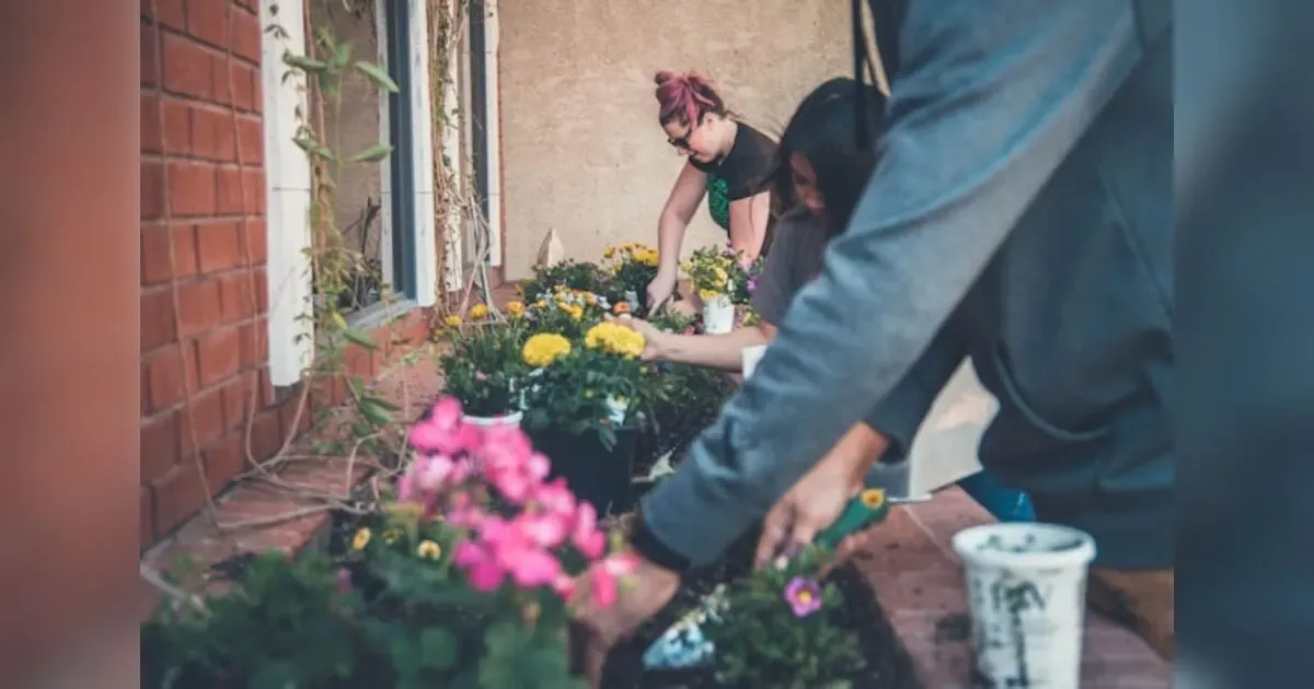 Sustainable Growth In Business: Leading The Industry With Purpose And Profit.