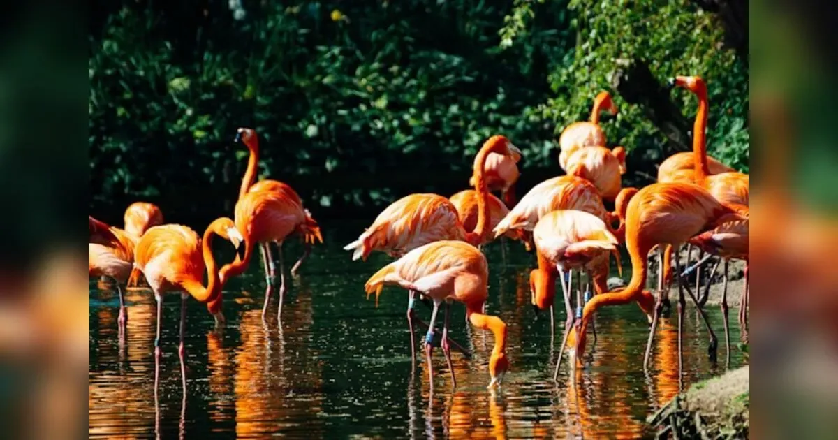 Rewilding The Planet: Restoring Ecosystems As A Key Strategy For Combating Climate Change