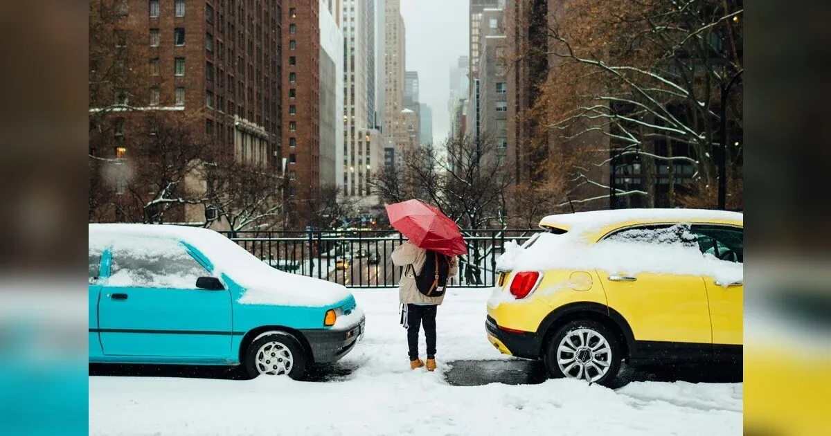 Hybrid Vs. Electric Cars: Which Is The Better Choice For You?