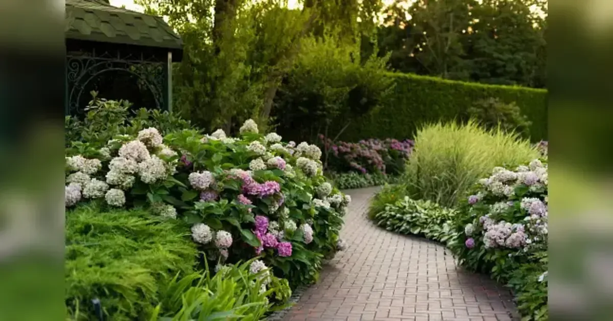Transform Your Garden With Hydrangeas: A Foolproof Plan