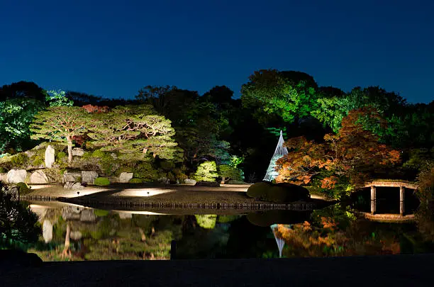 Tips for designing moon gardens that shine at night.