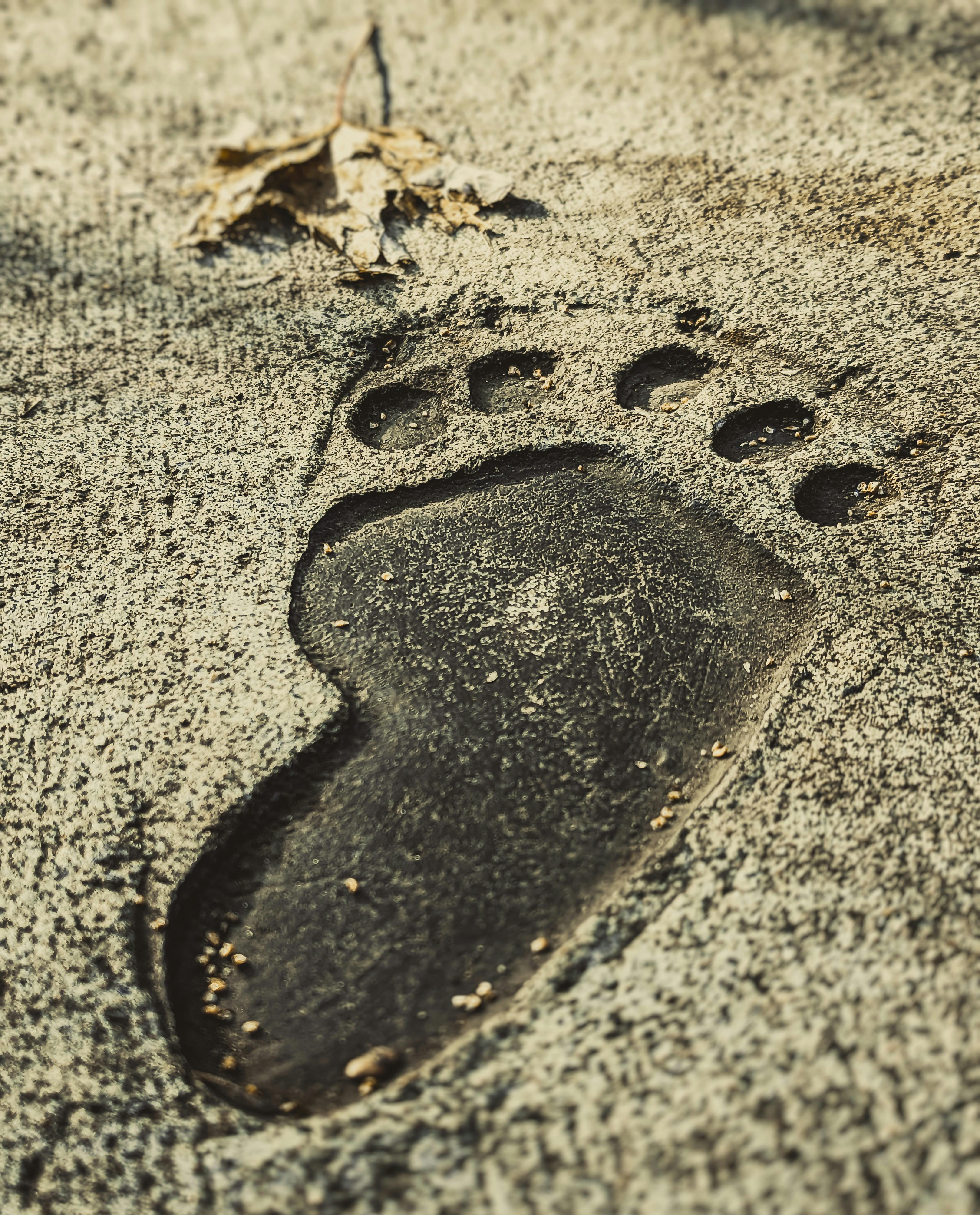 How to Clean Up Your Digital Footprint: A Step-by-Step Guide