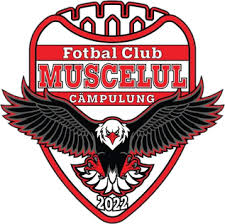 AFC Câmpulung Muscel