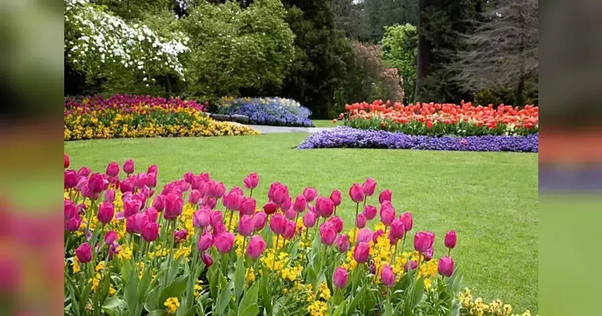 Low Allergic Flower Gardens: How To Grow Allergy Friendly Blooms For Sensitive Gardeners