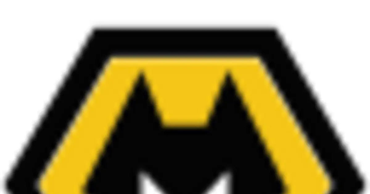 Wolverhampton Wanderers Logo