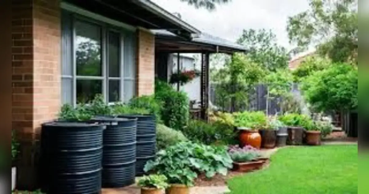 Rainwater Harvesting Systems For Home Gardens.