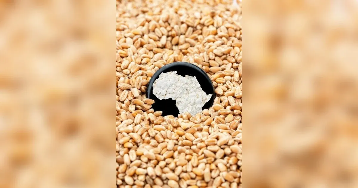 African Techno Agriculture: Where Technological Advancements Meet Agriculture